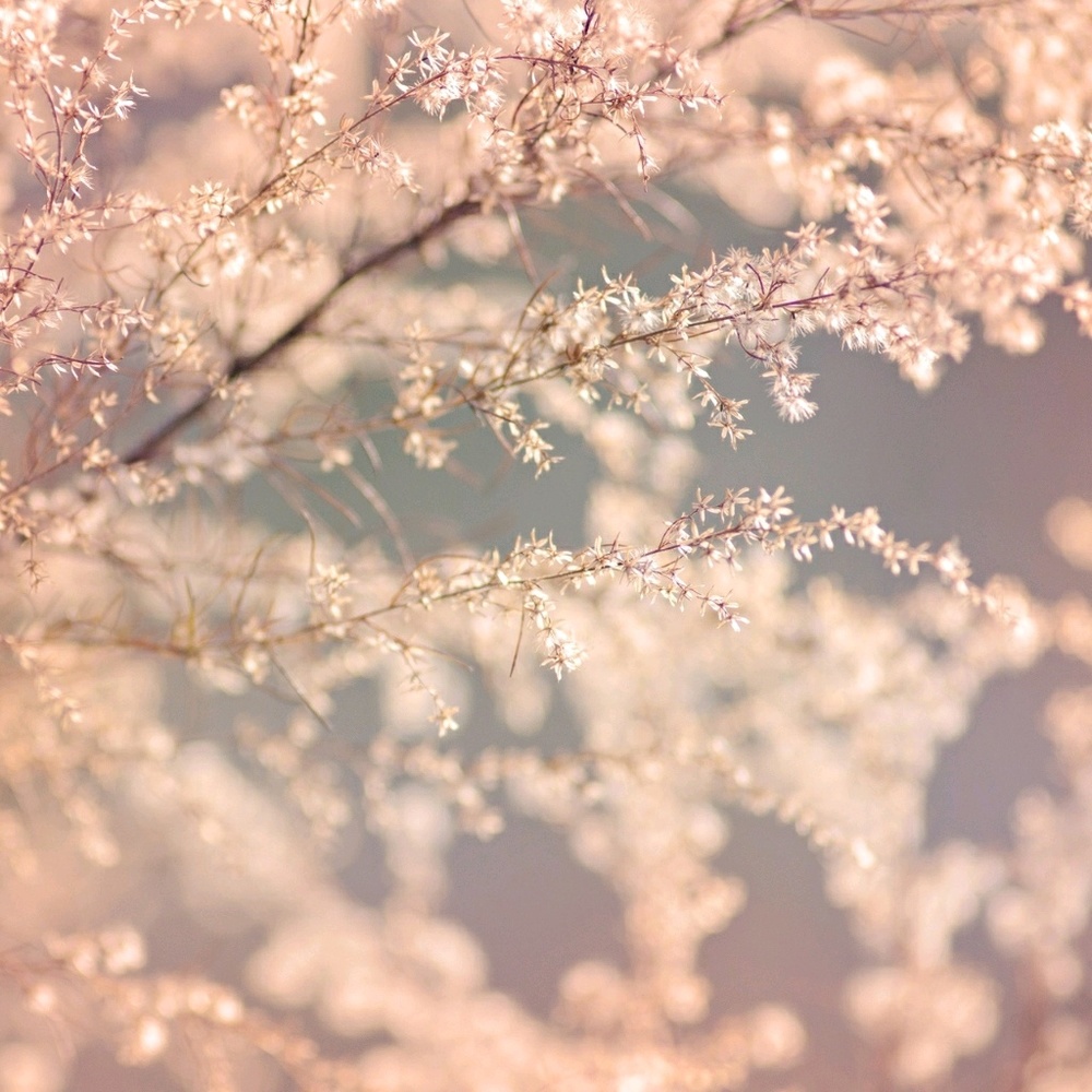 Meet your Posher, Kamila